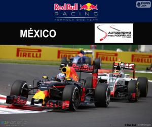 пазл Даниэль Риккардо, Гран-при Мексики 2016